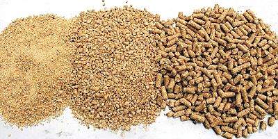 5 Kalem Hayvan Yemi Satın Alınacak