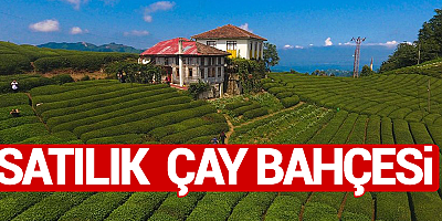 İcradan Satılık Çay Bahçesi