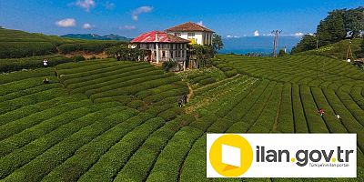 İcradan Satılık Çay Bahçesi