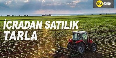 İcradan Satılık Tarla