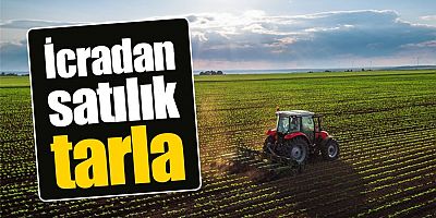 İcradan Satılık Tarla