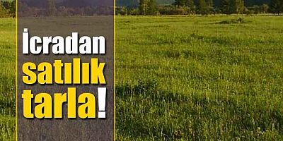 İcradan Satılık Tarla