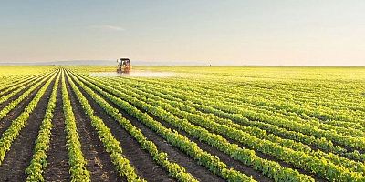 İcradan Satılık Tarla