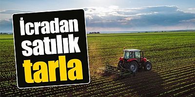 İcradan Satılık Tarla 