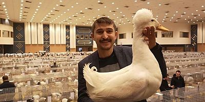 Kanatlı Hayvan Yarışmasında Birinci Oldu