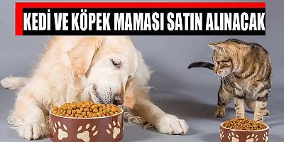 Kedi ve Köpek Maması Satın Alınacak