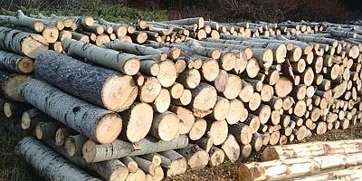 Odun Kömür Alınacak