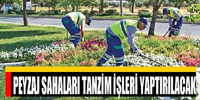 Peyzaj sahaları tanzim işleri yaptırılacak